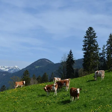 Ferienwohnung Eberharter Hart im Zillertal Extérieur photo